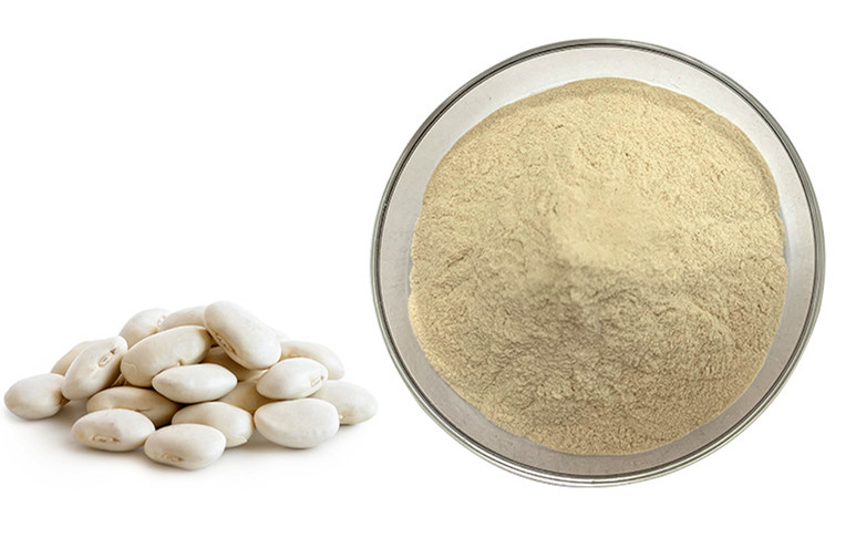 kidney bean extract powder.jpg